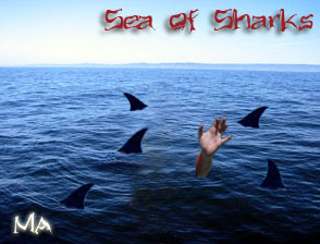 Sea of Sharks Cover